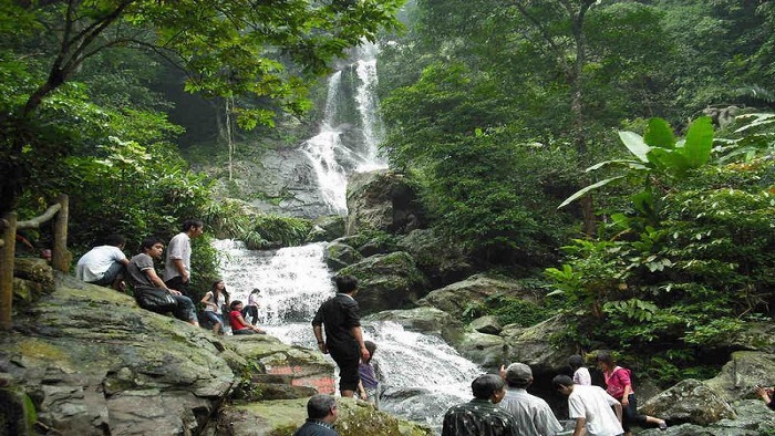 Discover the 5 most popular national parks in Vietnam