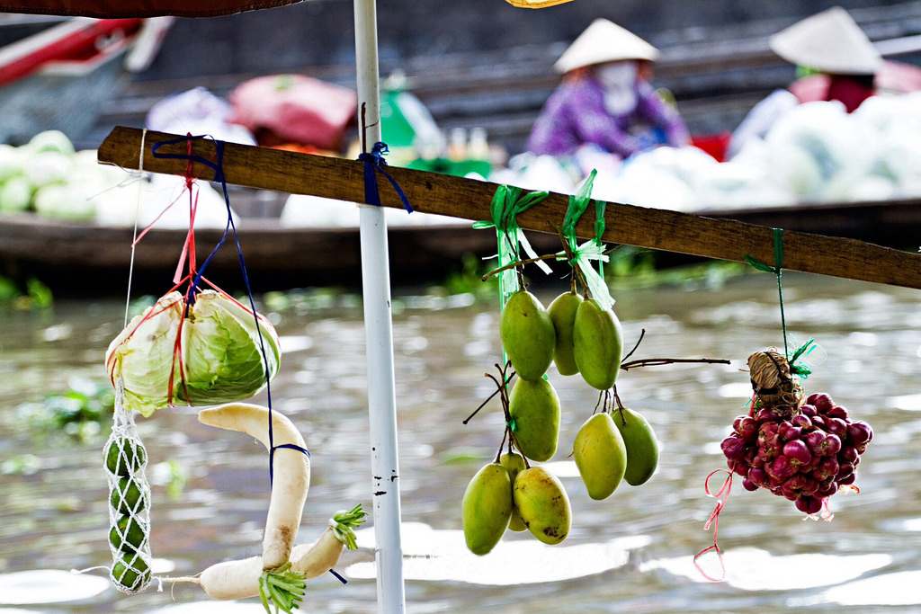 Explore Mekong Delta in flooding season