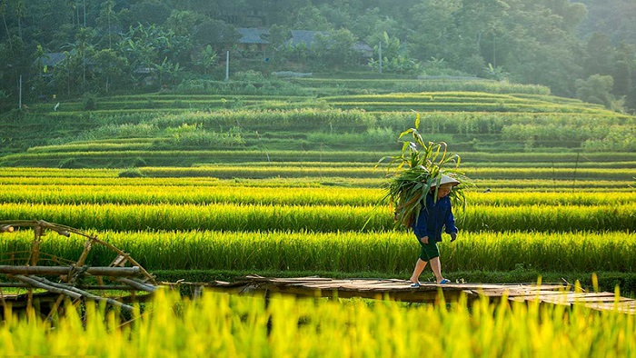 Where to go on Independence Day: Explore the dreaming and poetic nature in Pu Luong Nature Reserve