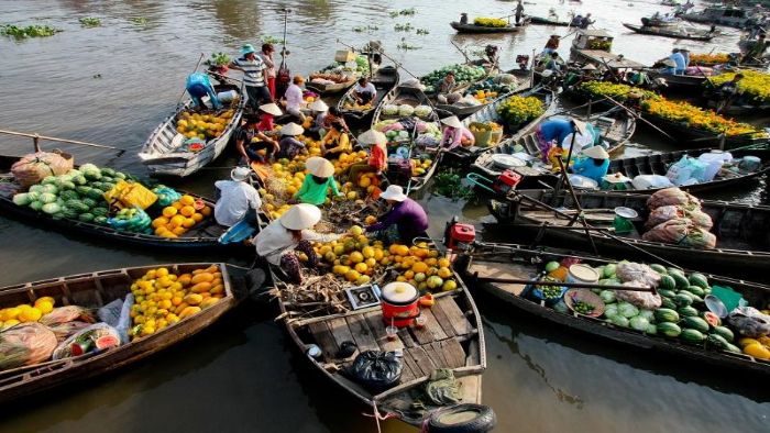 Mekong Delta Green Tourism Week Attracts Thousands of Visitors