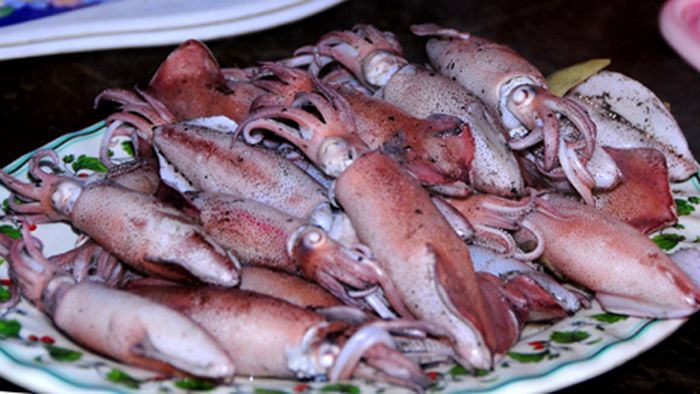 The most exciting squid fishing tours in Vietnam