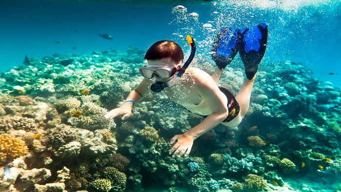 Exotic diving sites in Phu Quoc