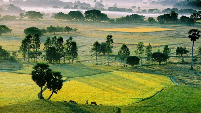 Enjoying Bicycle Tour In Mekong Islands