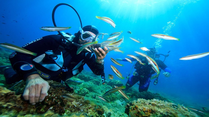 Experiences for Enjoying Amazing Things Do to - Phu Quoc Scuba Diving