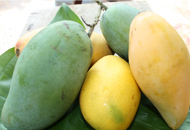 Fresh fruit season in Mekong Delta