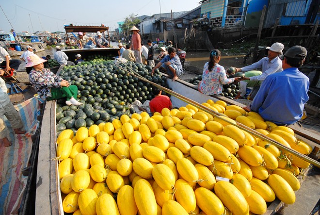 Fresh fruit season in Mekong delta