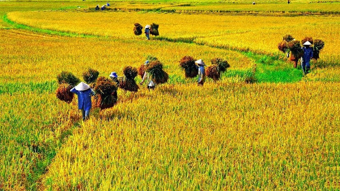 Mai Chau Weather