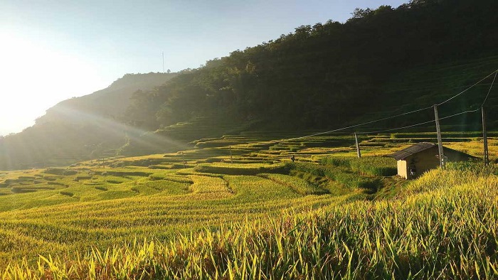 Peaceful Life in Hoang Thu Pho, Bac Ha