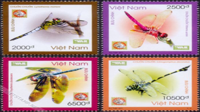 Phu Quoc Dragonflies