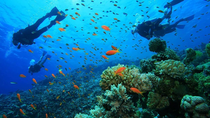 Scuba Diving in Nha Trang