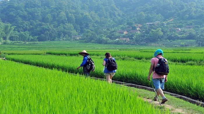 Something about Mai Chau