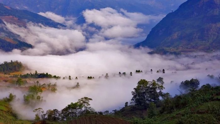 Suoi Ngoc Vua Ba