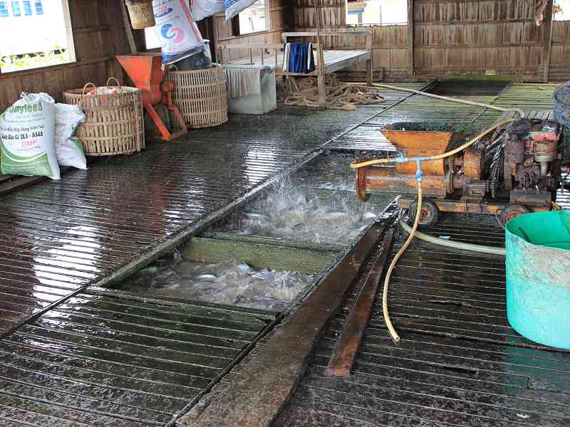Visit-Mekong-Delta-Floating-Houses-and-Fish-Farms