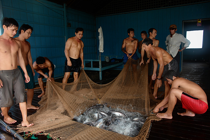 Visit-Mekong-Delta-floating-houses-and-fish-farms